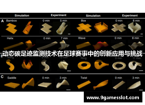 动态碳足迹监测技术在足球赛事中的创新应用与挑战